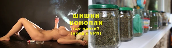 гашик Белокуриха