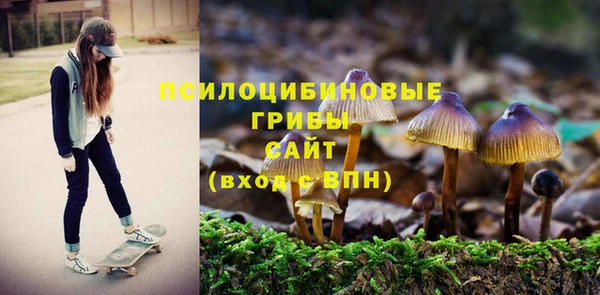 мдма Богородицк