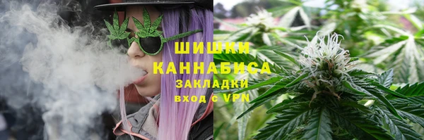 гашик Белокуриха