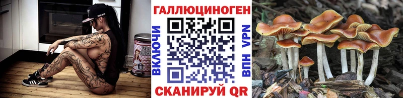 Галлюциногенные грибы мицелий  ОМГ ОМГ ССЫЛКА  Киржач 